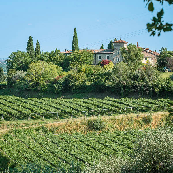 Italian Farm house surrounded by vineyards