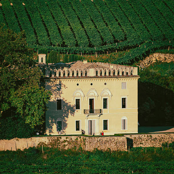 Italian villa surrounded by vines