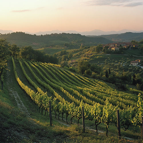 a-view-of-the-Berici-hills