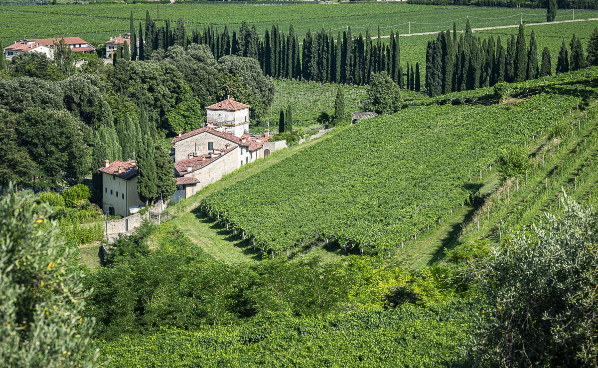An aerial shot of an old farm house surrounded by vineyards in Italy